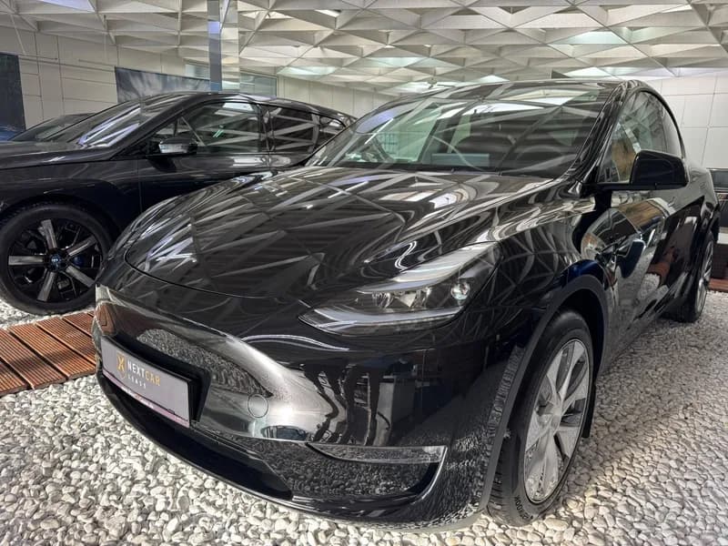 Tesla Model Y Long Range Dual AWD PANO NAVI LED SHZ WP